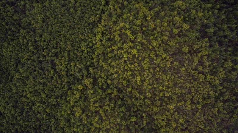 科学运动全攻略:解锁身体活力密码,让健身事半功倍