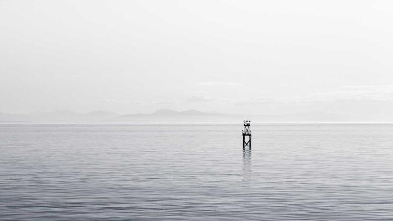 中医养生新视角:四季调和,脏腑同养,健康自然来