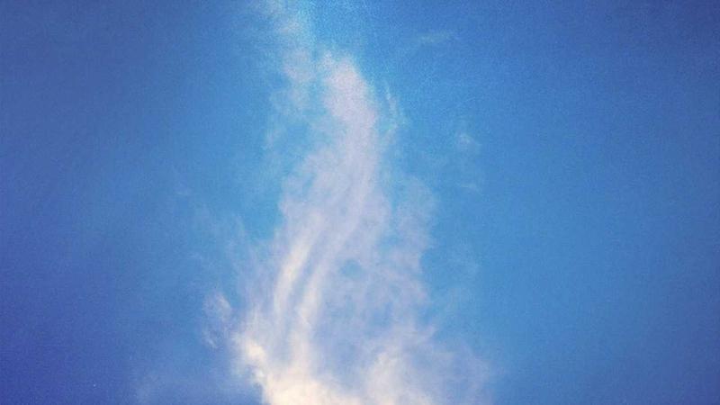 科学运动指南:从入门到进阶的5个黄金法则