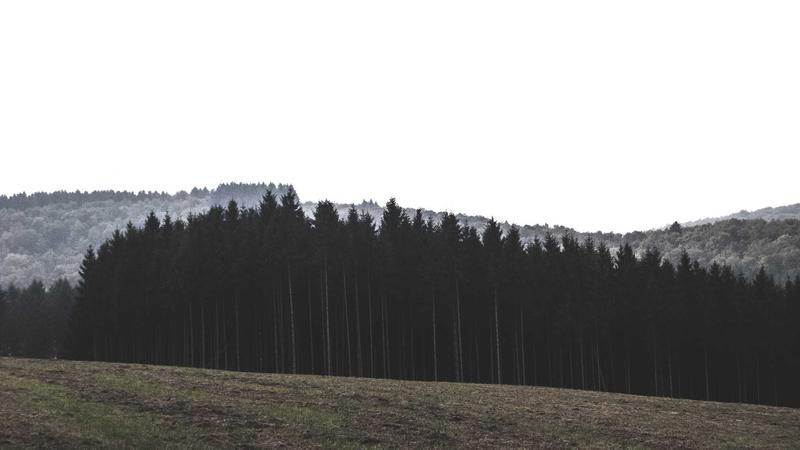 情绪管理秘籍:从压力山到心灵绿洲的蜕变指南
