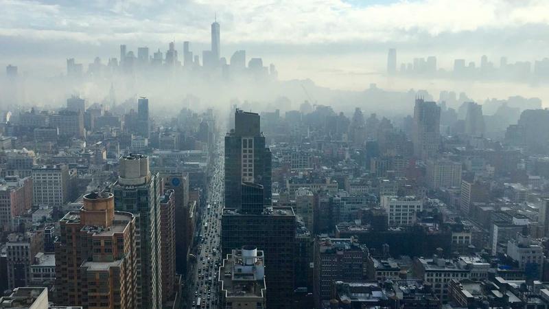 情绪管理秘籍:5个科学方法让心理更健康