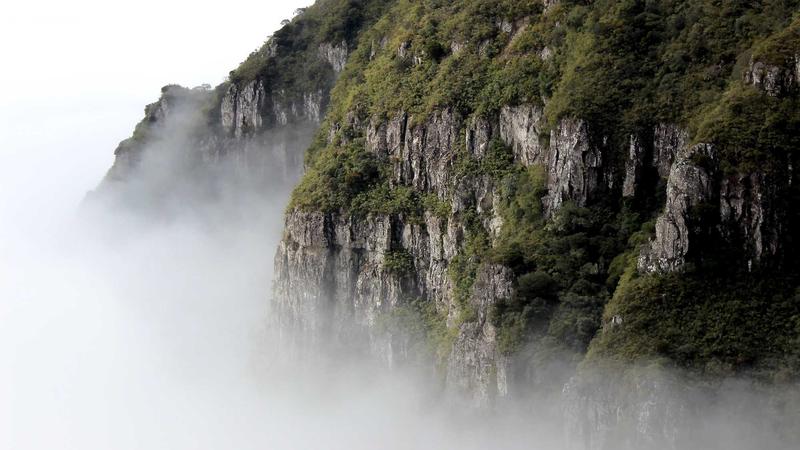 情绪急救箱：5个科学方法让你随时化解心理危机