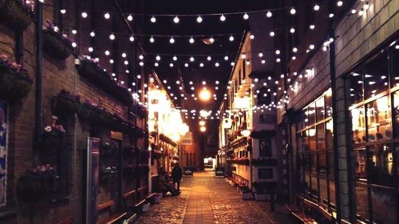 科学饮食金字塔：解锁健康养生的黄金法则