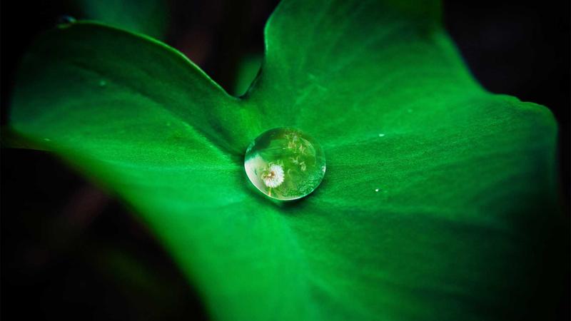 心理养生新视角:用科学方法守护心灵绿洲